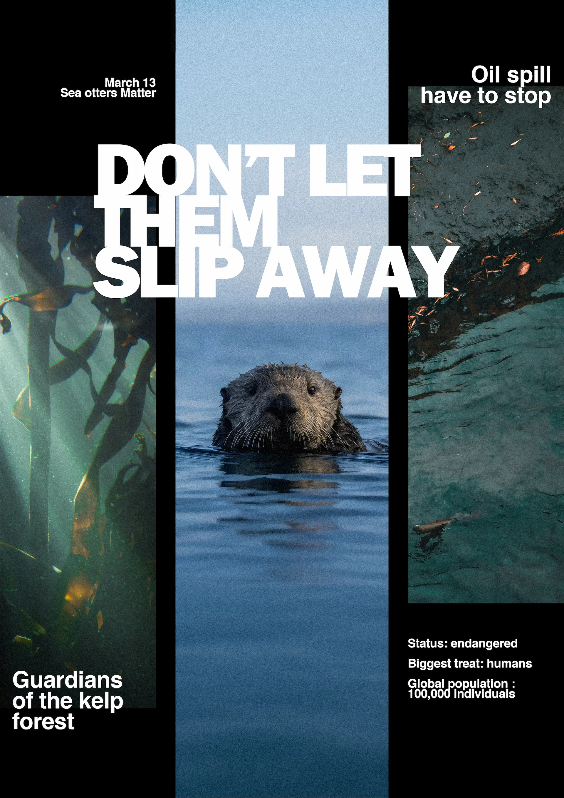 sea otter